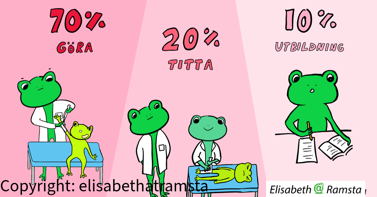 Forskning och evidens i vardagen – vad innebär det egentligen?